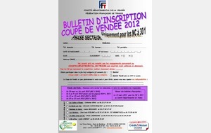 Coupe de Vendée de 2012