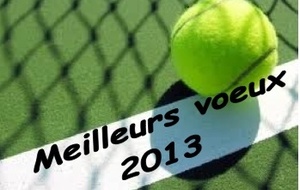 Bonne année 2013