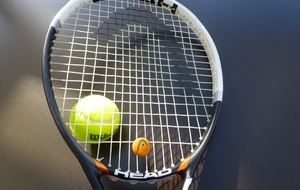 Calendrier Champ. printemps Jeunes