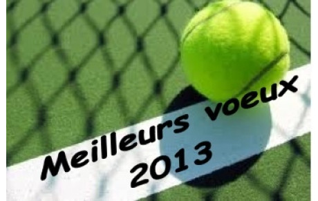 Bonne année 2013