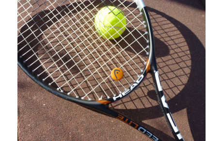 Assemblée Générale annuelle